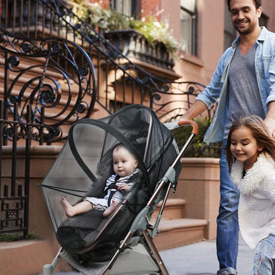 Papa en promenade avec poussette et moustiquaire bebe