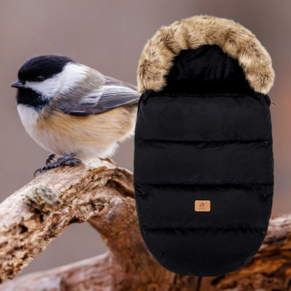 Chanceliere bebe noire et oiseau sur une branche.