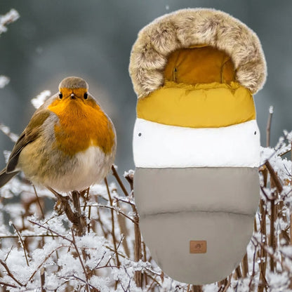 Chancelière d'hiver jaune, blanc et gris et un oiseau aux mêmes couleurs.